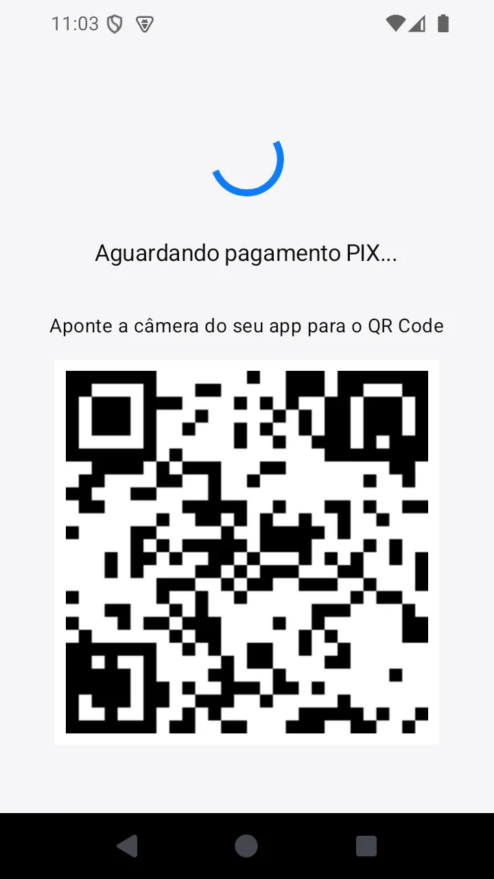 PIX payment in the Lavei Mais app