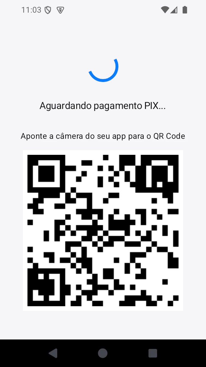 Pagamento PIX no aplicativo Lavei Mais